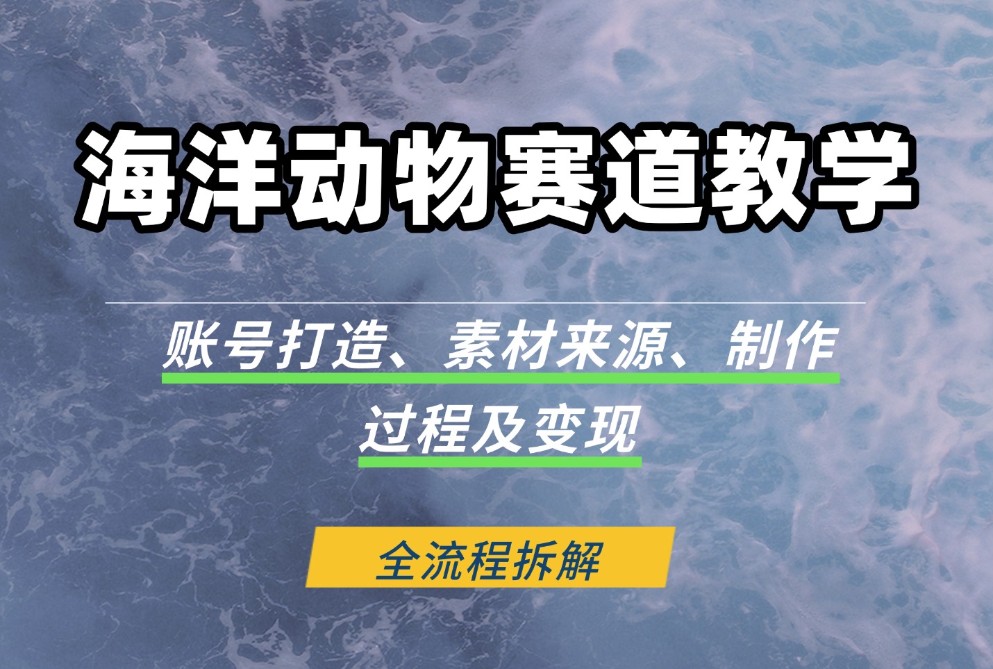 海洋动物赛道教学:账号打造、素材来源、制作过程及变现-阳光学社