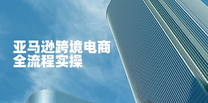 (14252期)亚马逊跨境电商全流程实操,教你从零开始,掌握店铺运营与广告技巧-阳光学社