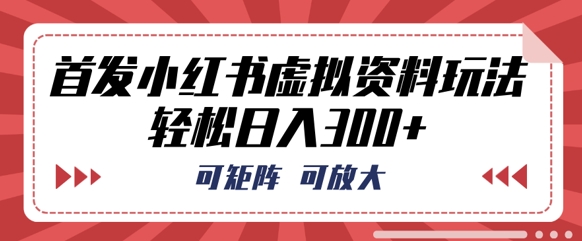 首发小红书虚拟资料玩法，可矩阵，可放大，轻松日入3张-阳光学社