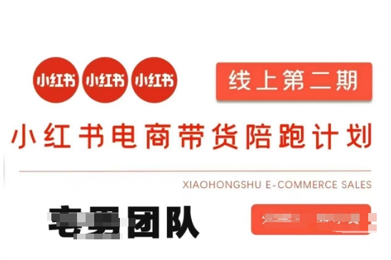 小红书电商带货课2期，月利润20个的小红书电商的有货源，无货源，虚拟产品，付费投流等整套玩法-阳光学社